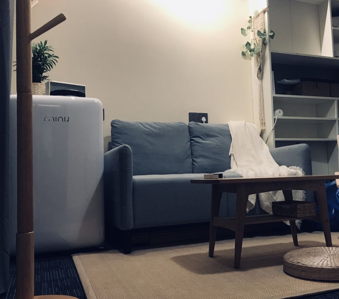精致一居室