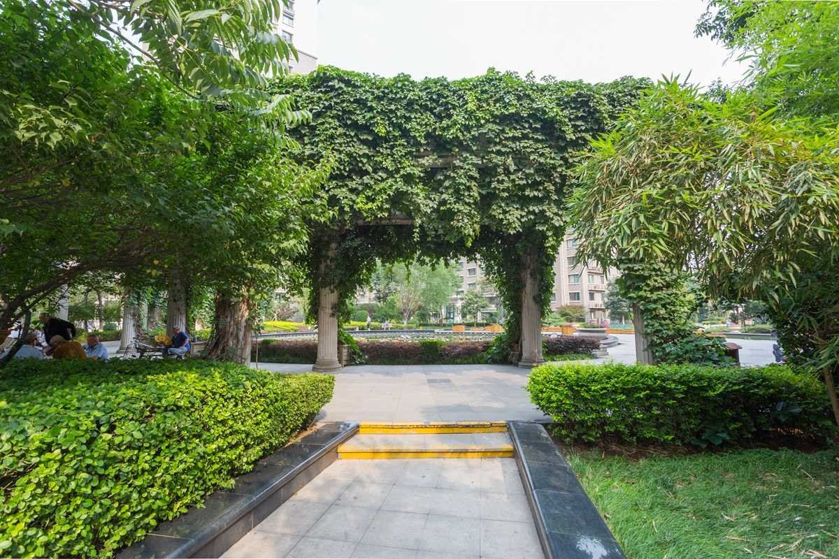 济南大明湖茶艺师的家普通公寓