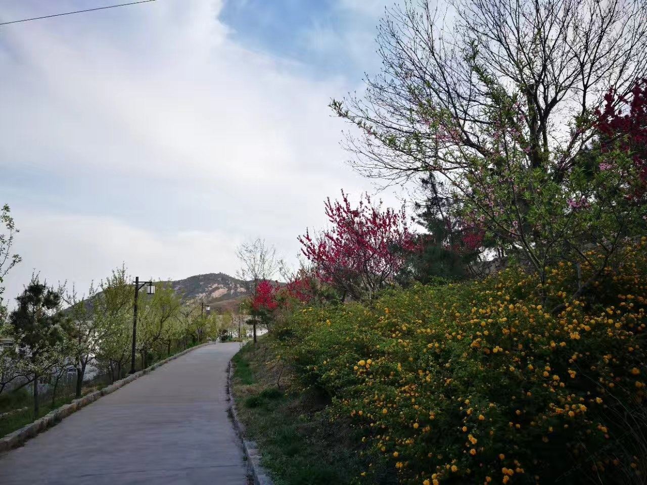 大理一念独栋别墅(济南机场路店)