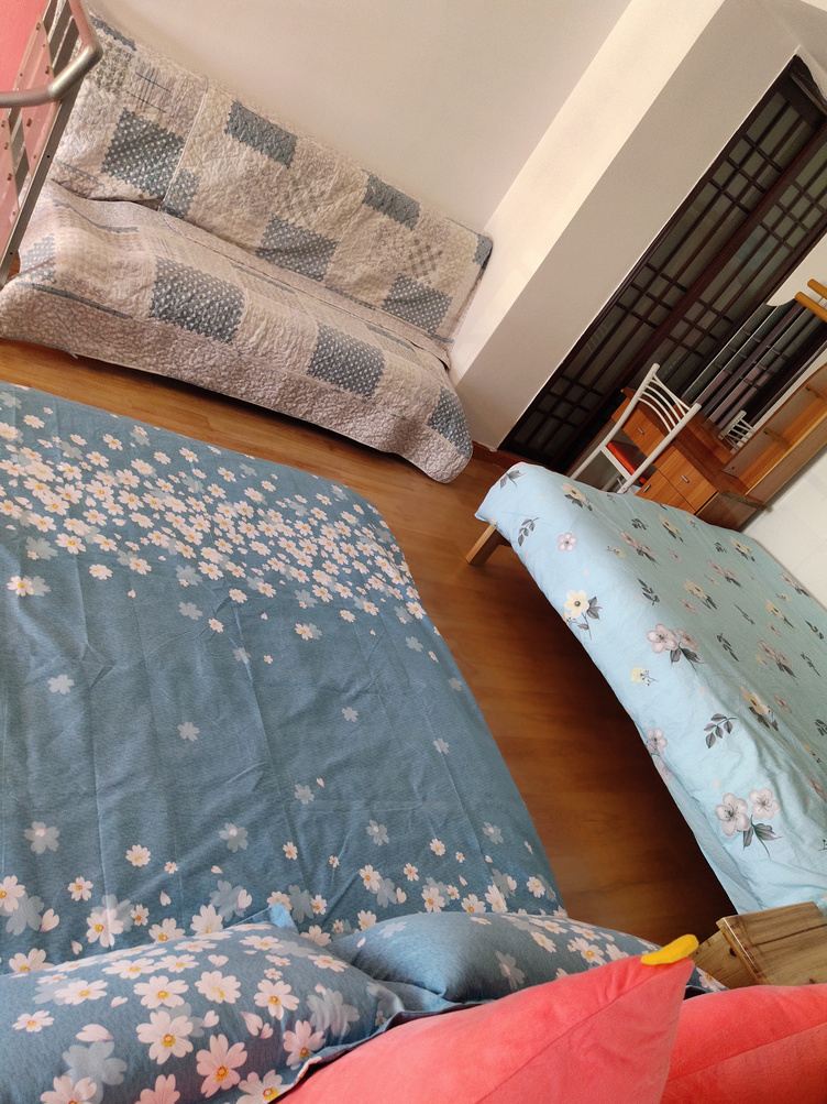 复式一室二床房