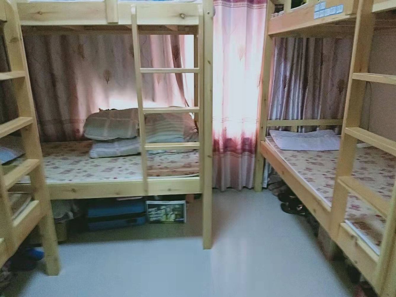 三室单床房