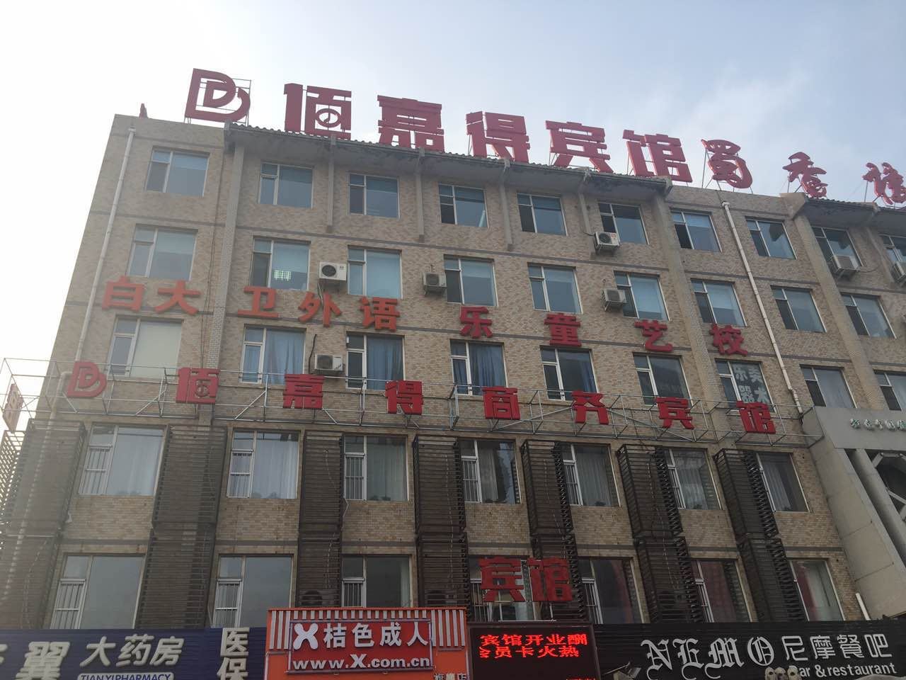 外观