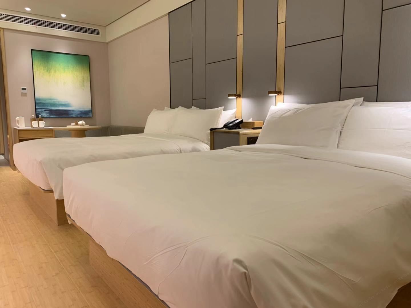 高级双床房