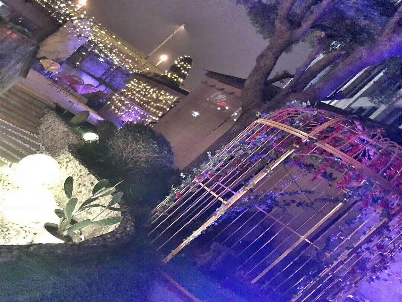 其他