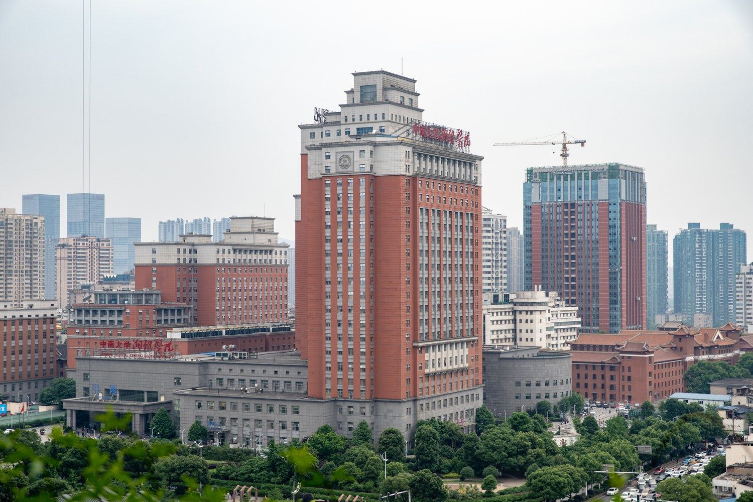 其他