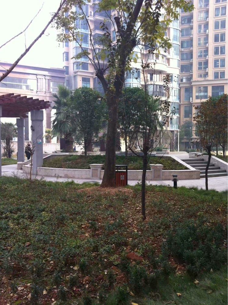 长沙白羽涧行公寓