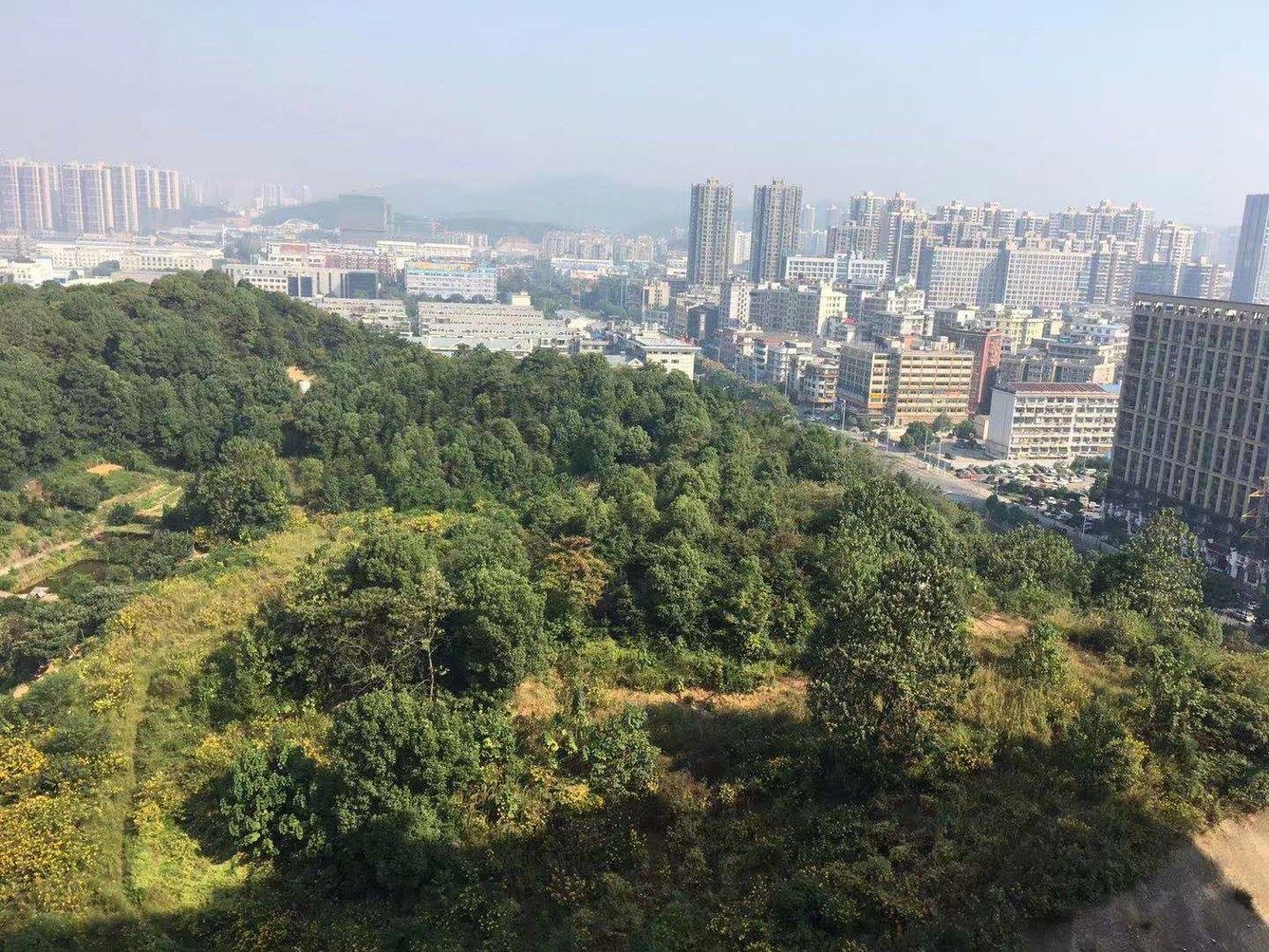 其他