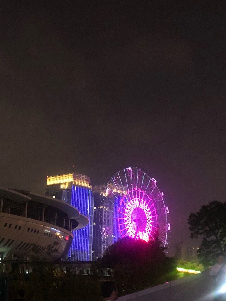其他