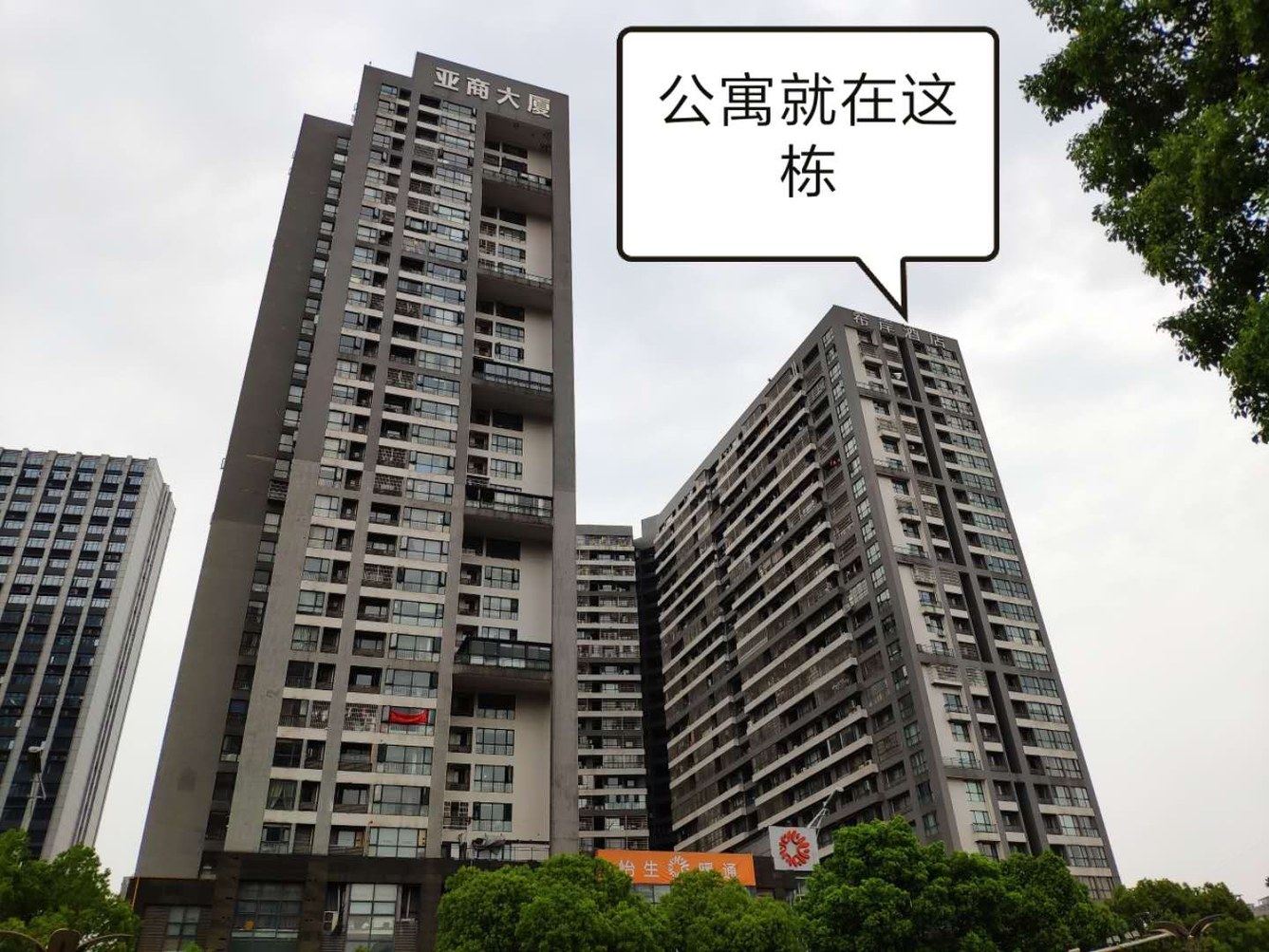 其他