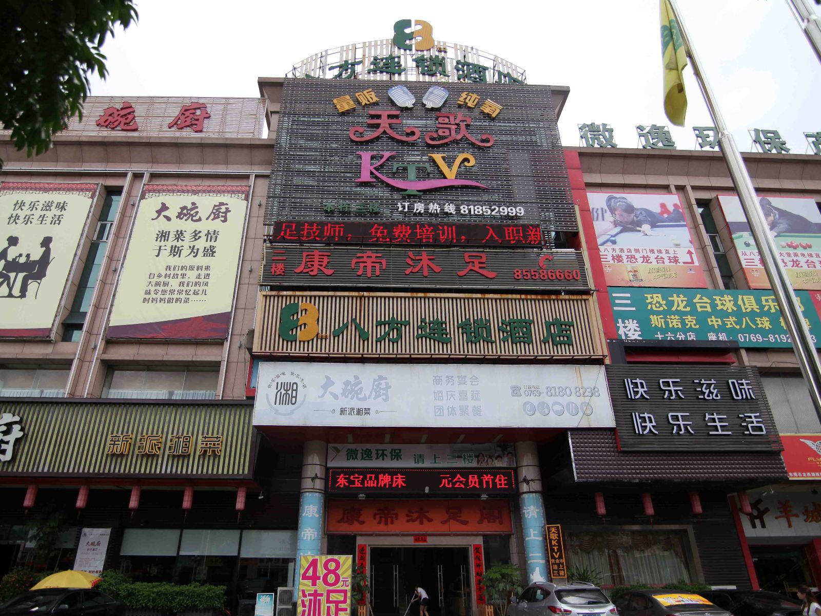 外观