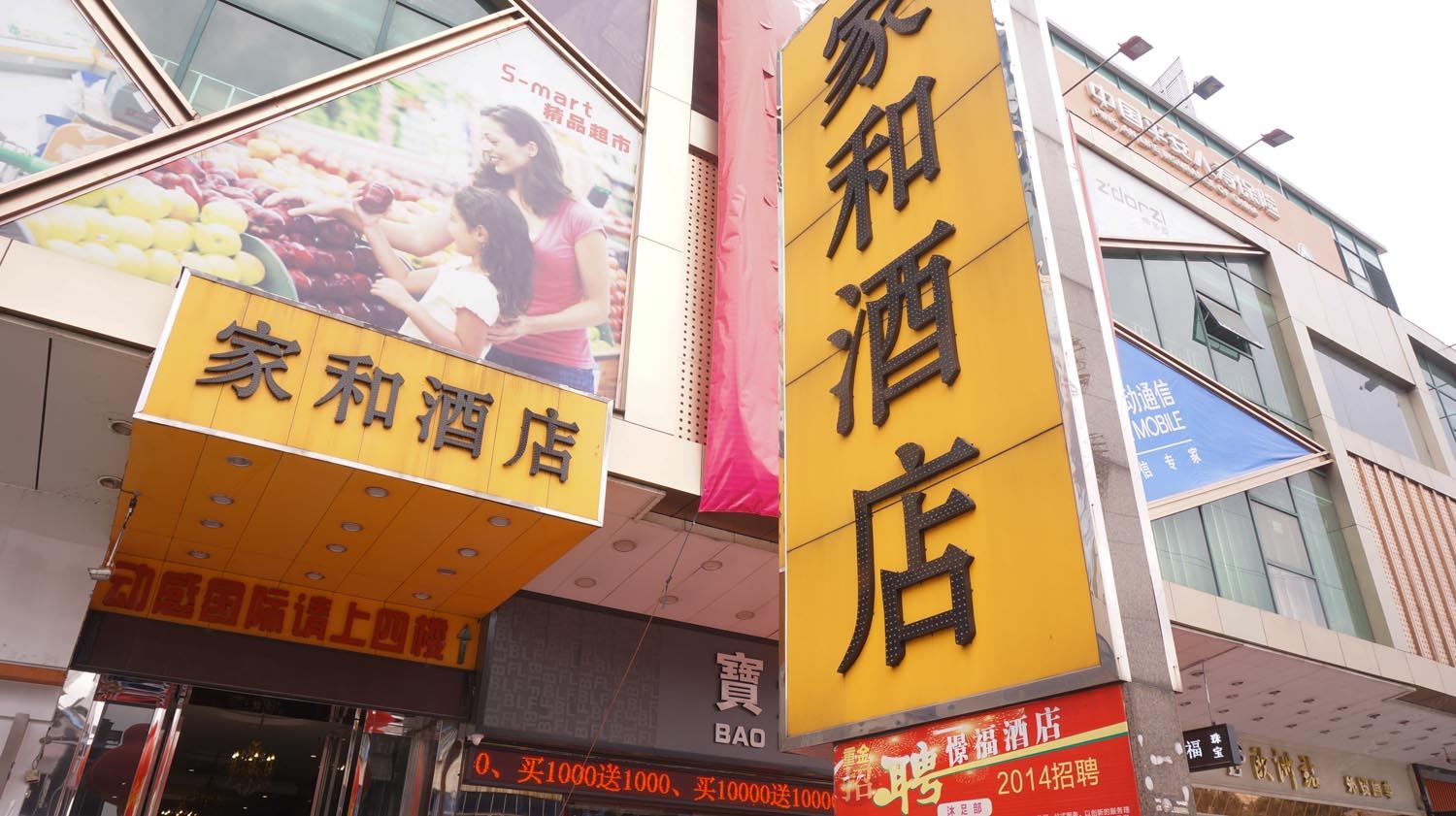 外观