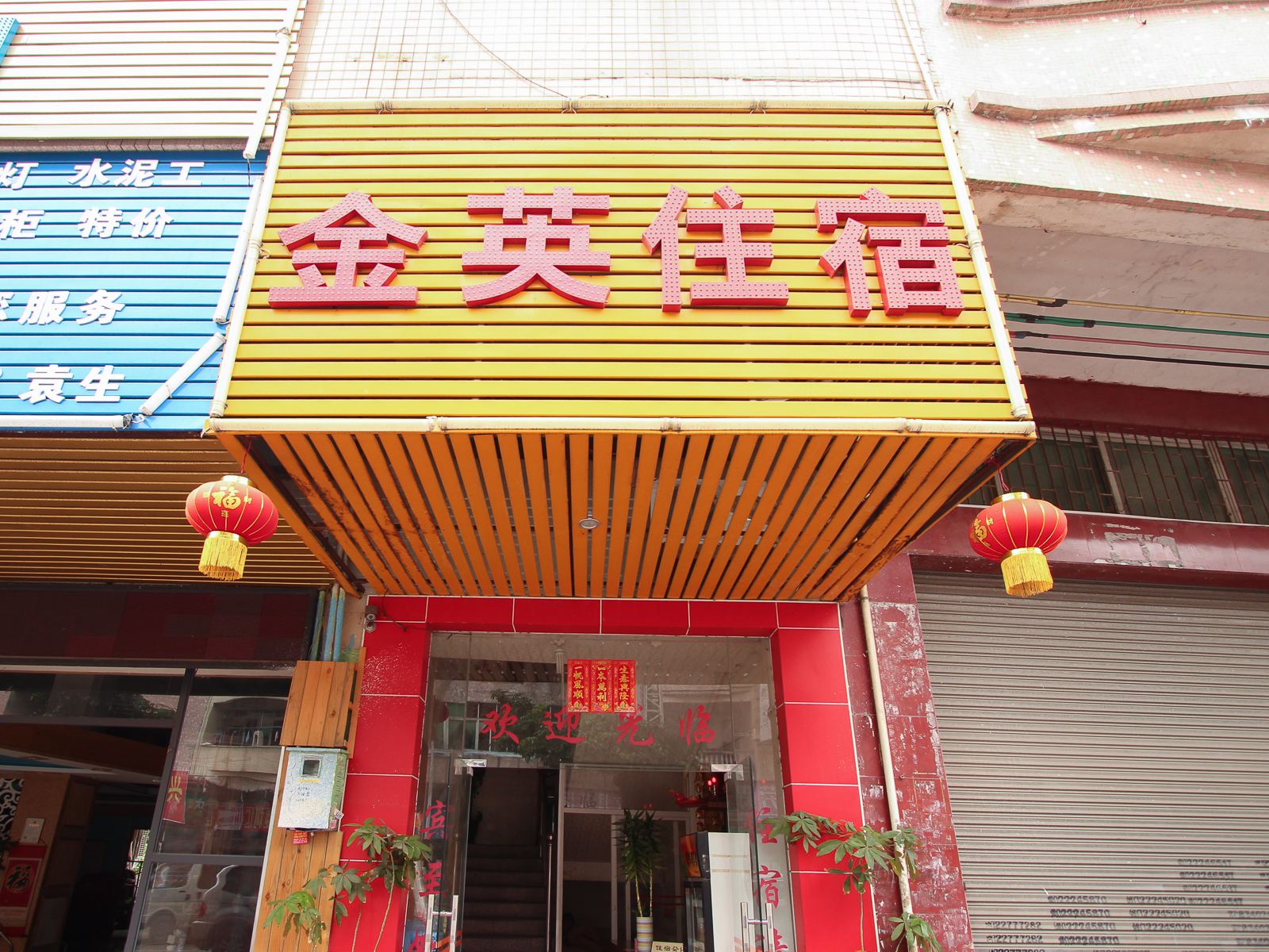 外观