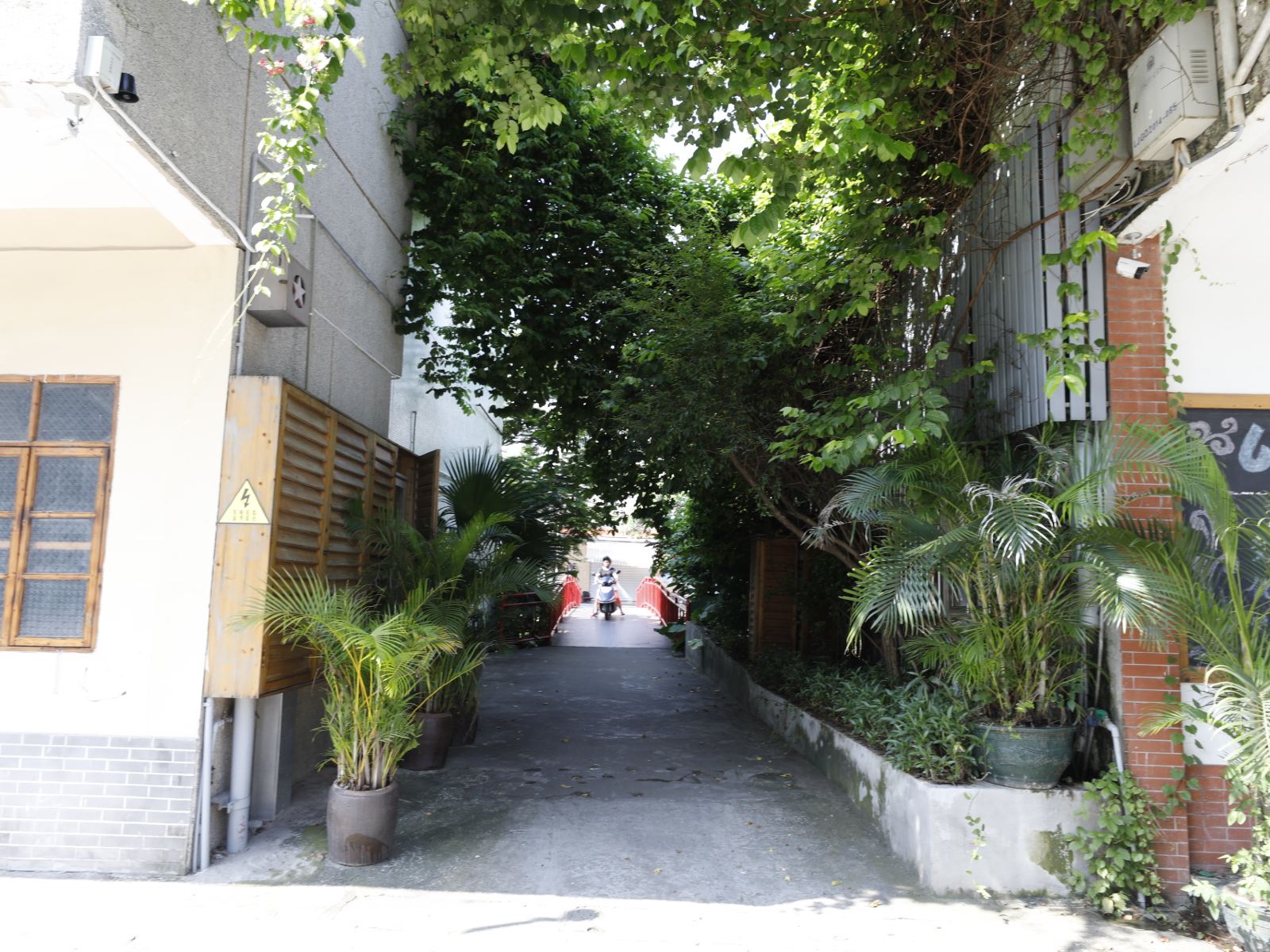 公共区域