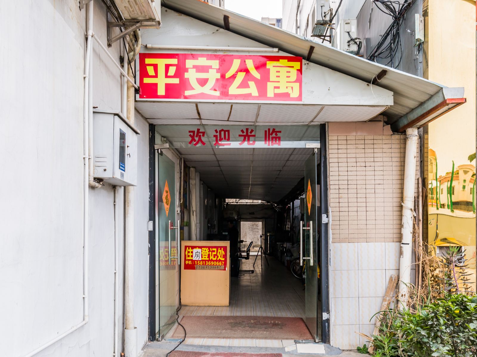 外观