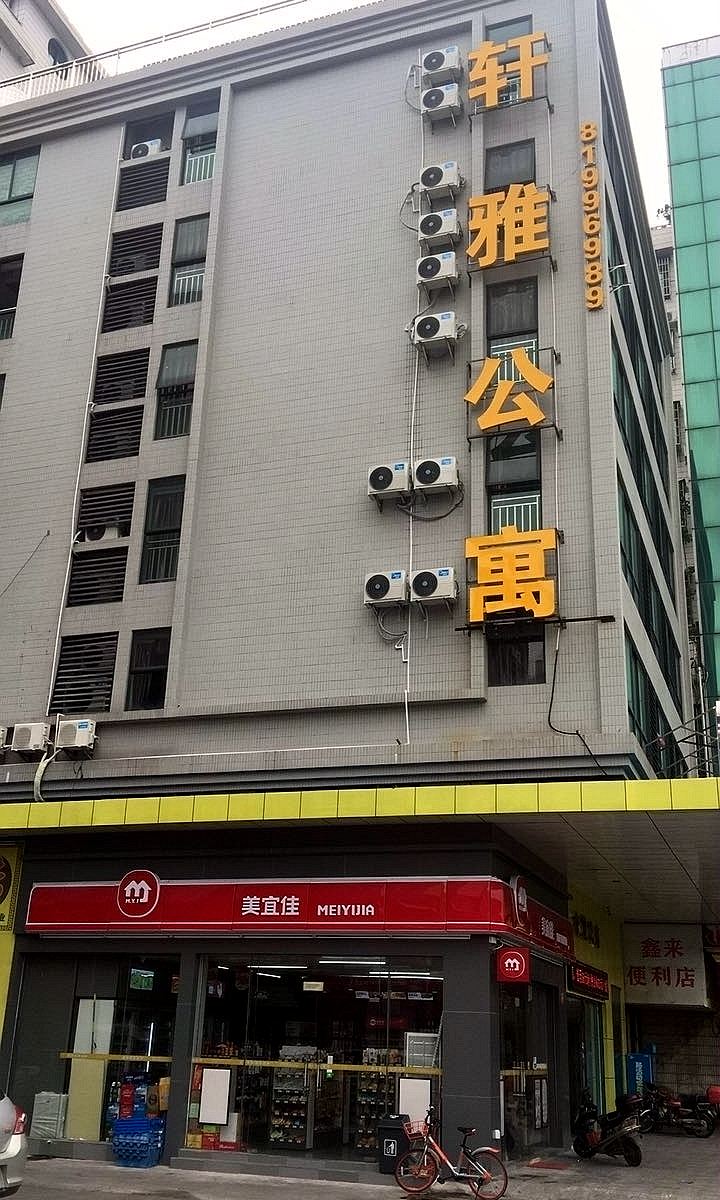 外观