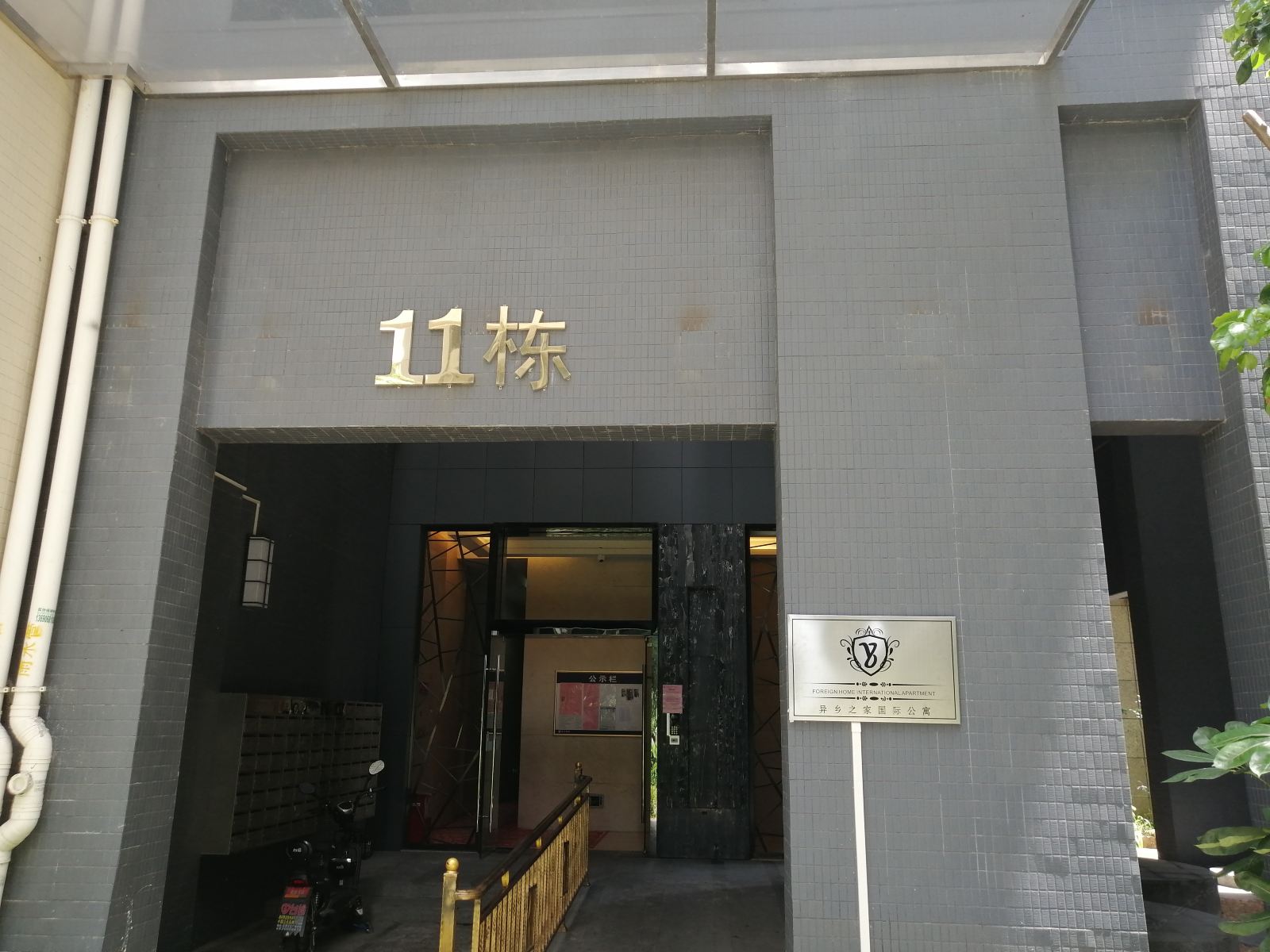 外观