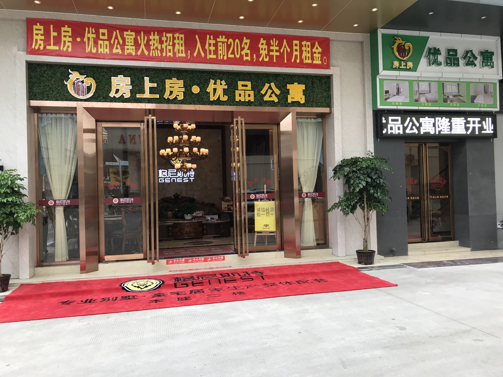 外观