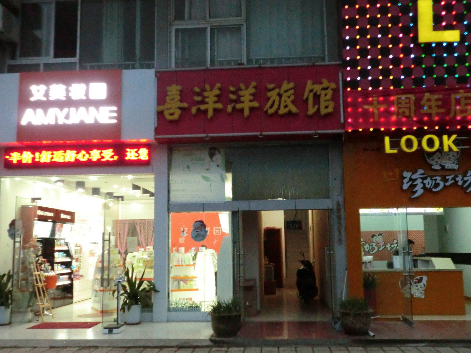 外观