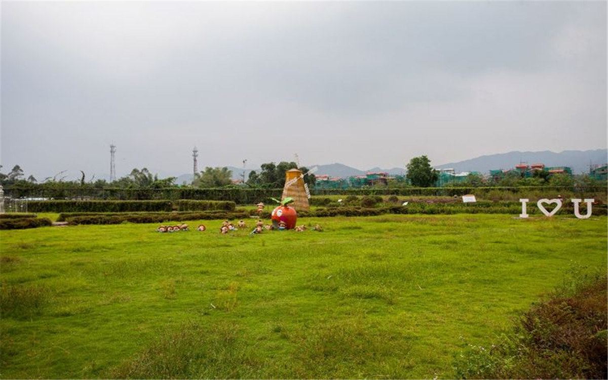 其他