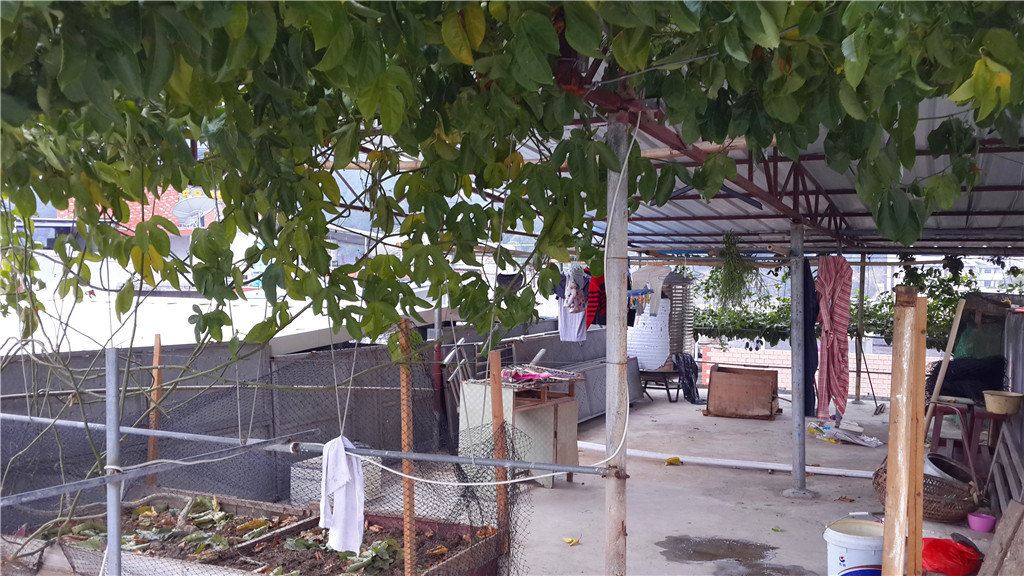 龙岩下洋祥安温泉宾馆