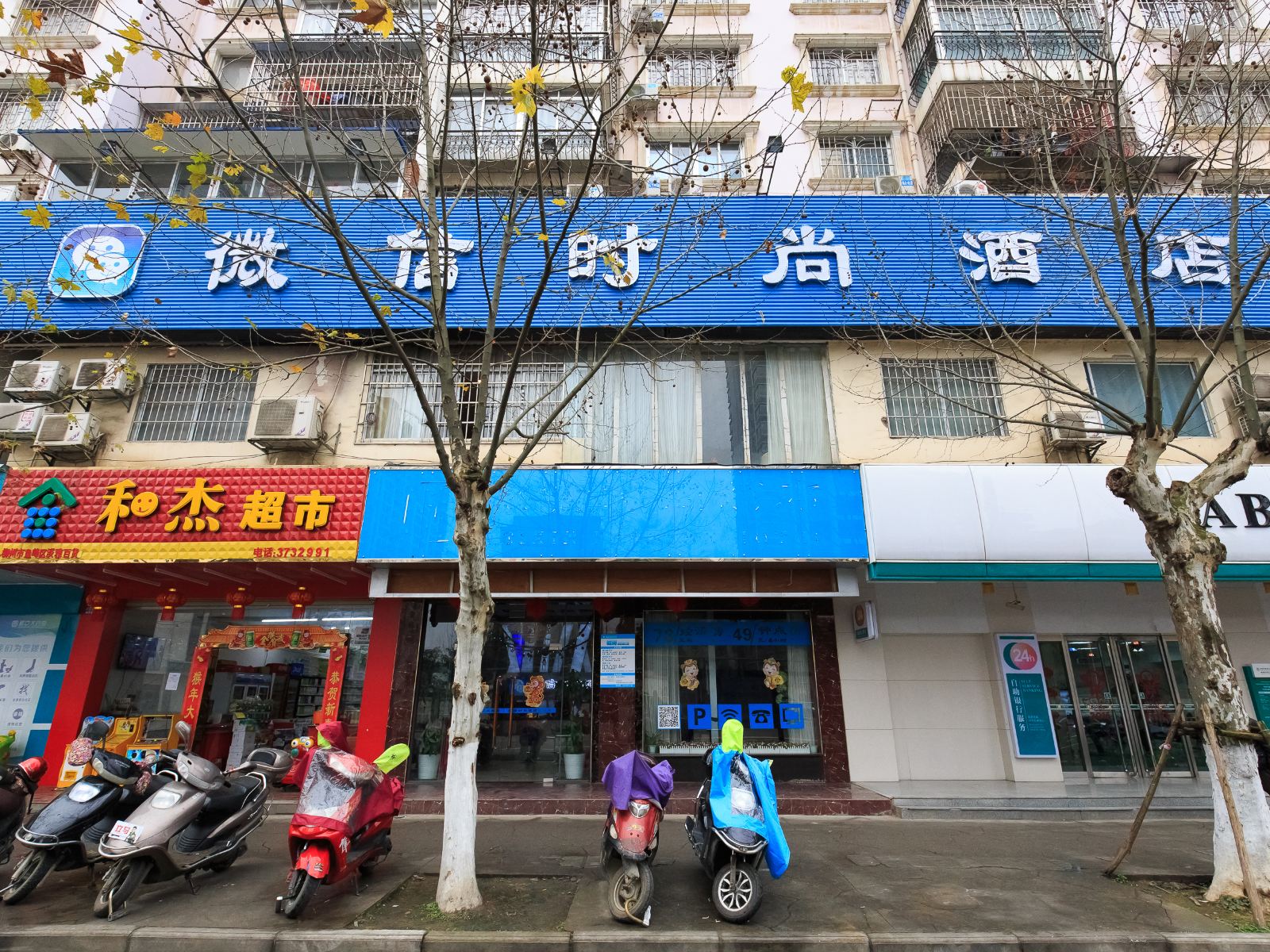 外观
