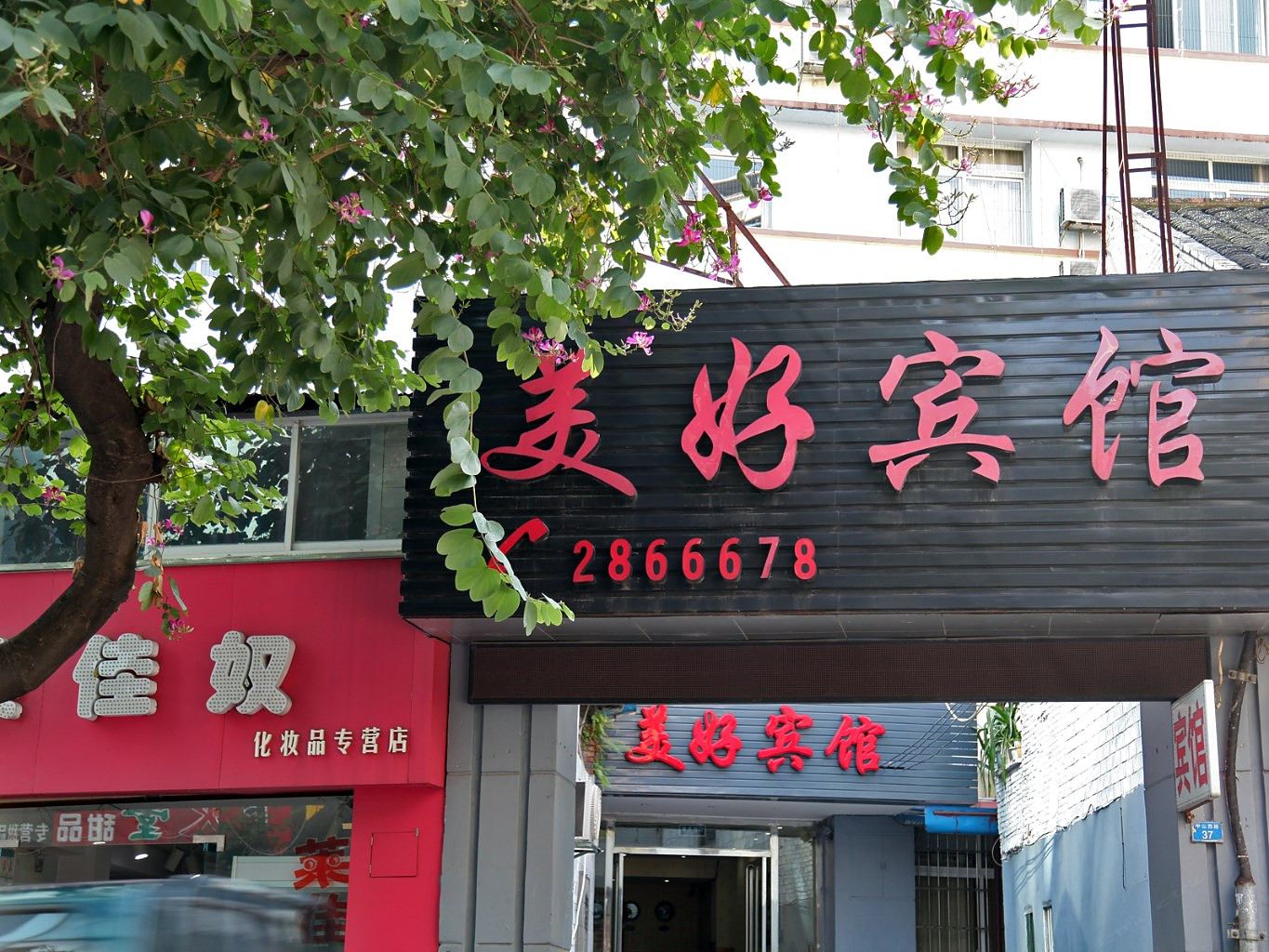 外观