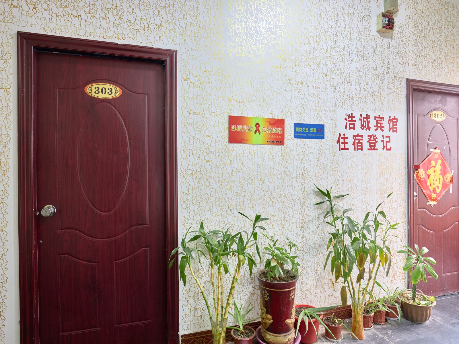 公共区域
