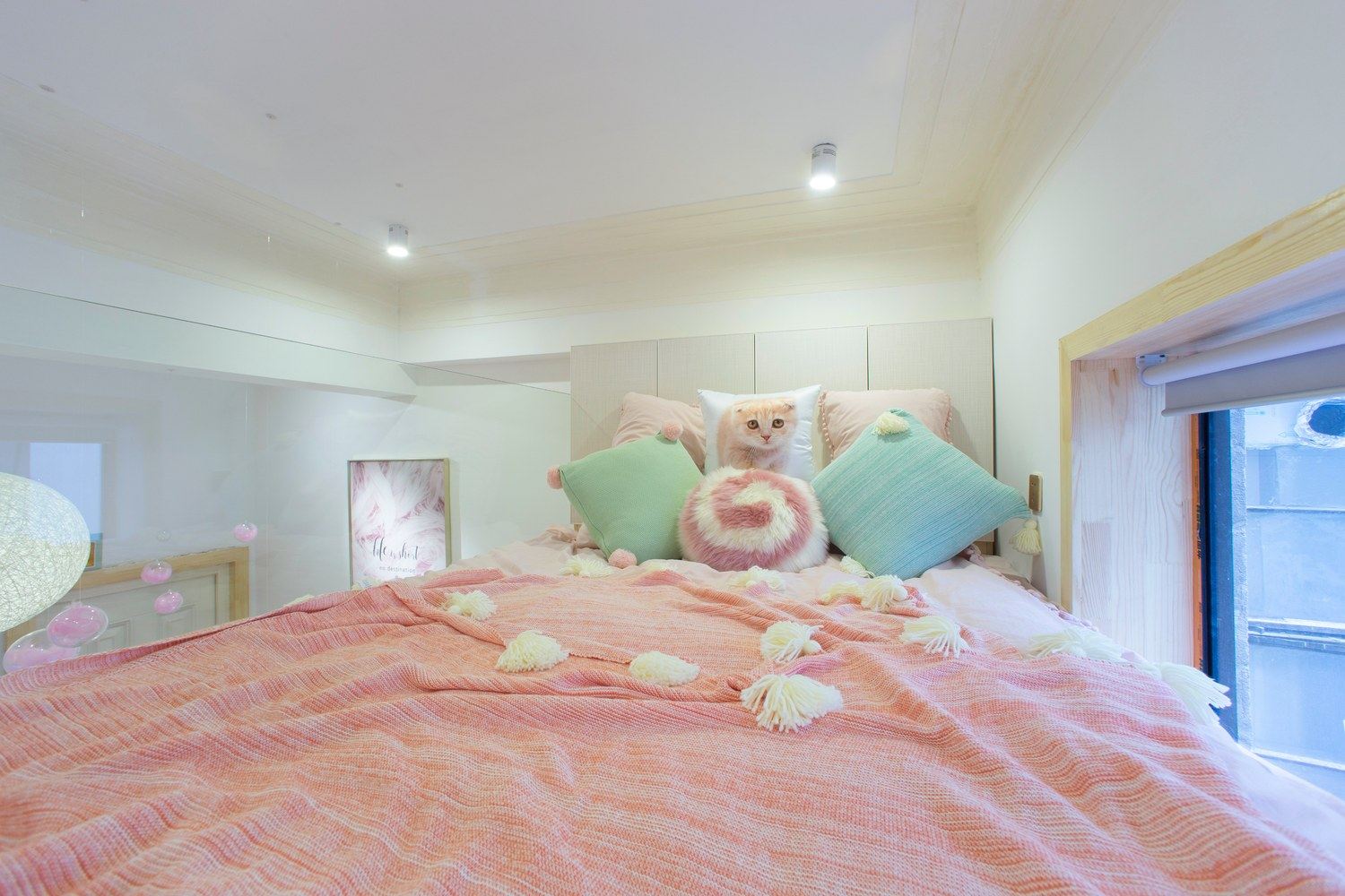 粉色一室一厅套房