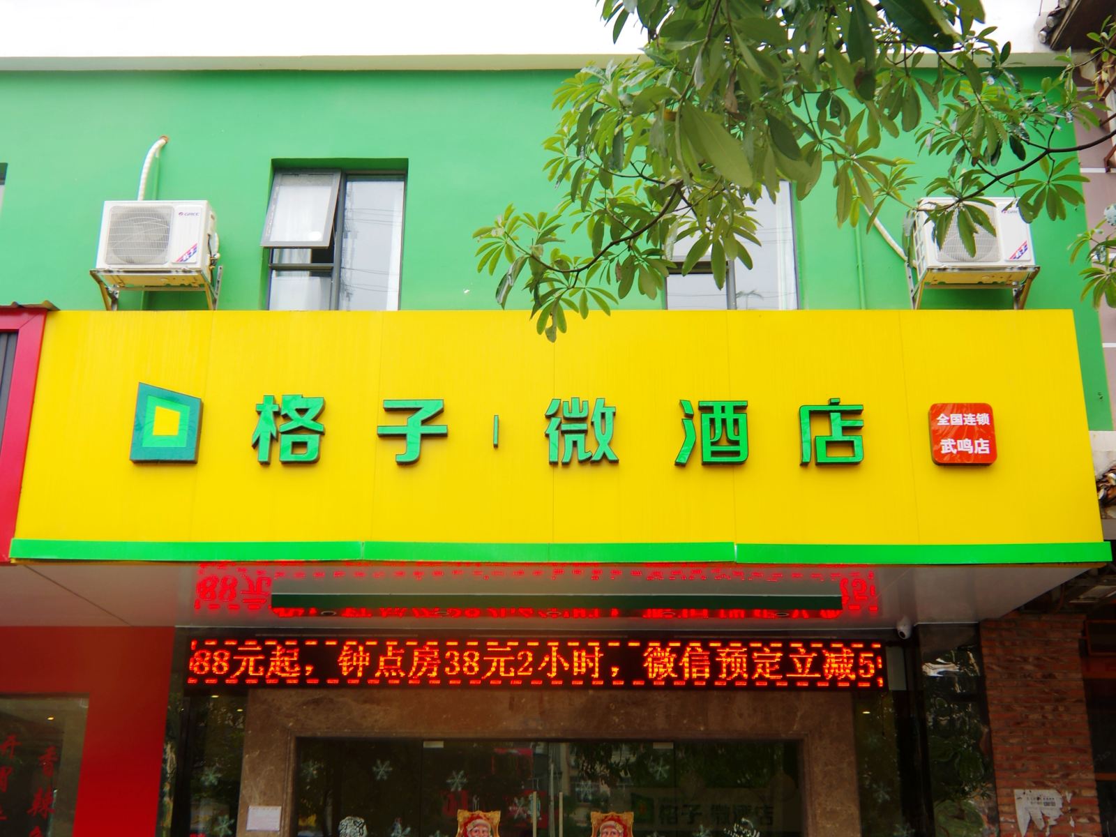 外观