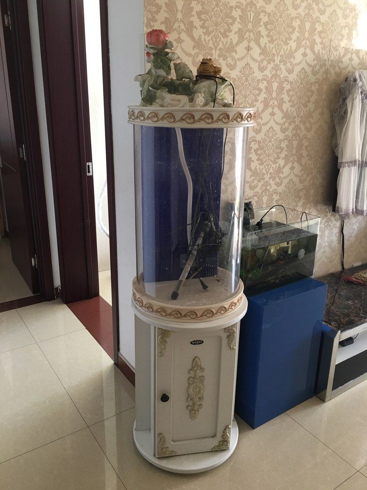 石家庄怀旧的蚂蚁公寓(5号店)