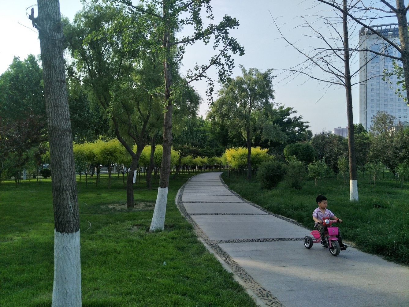 其他