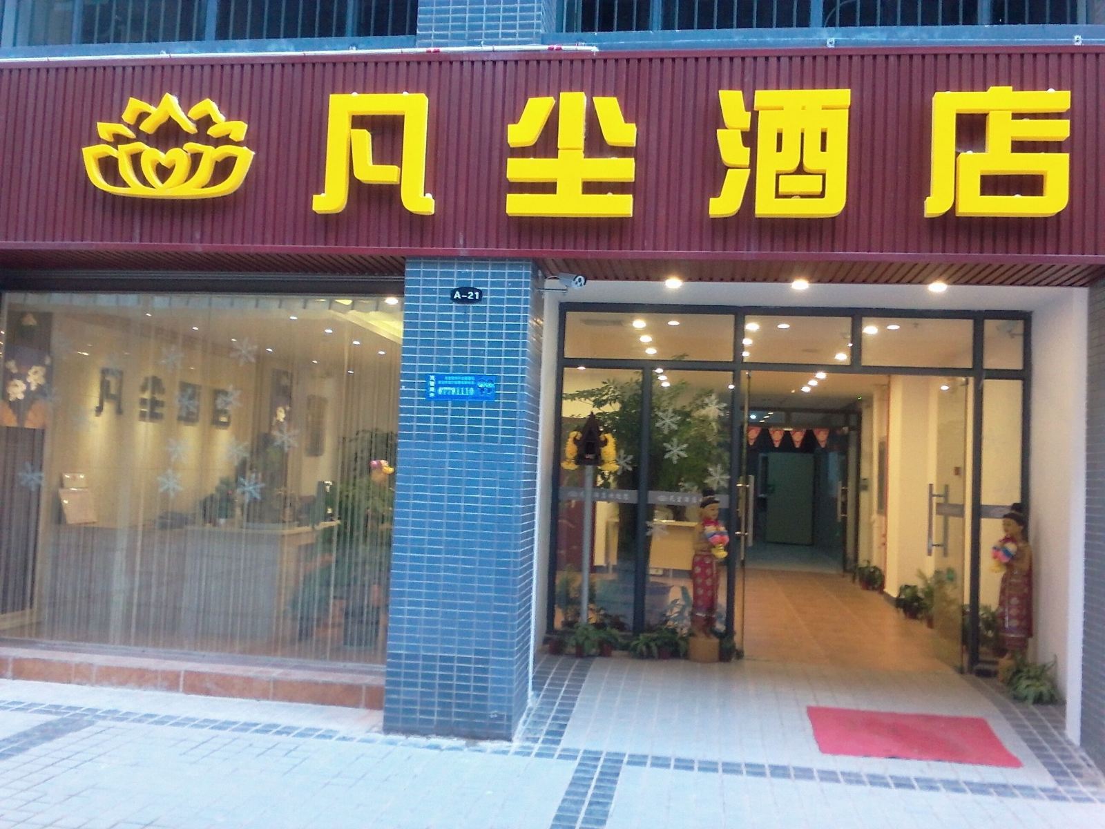 外观