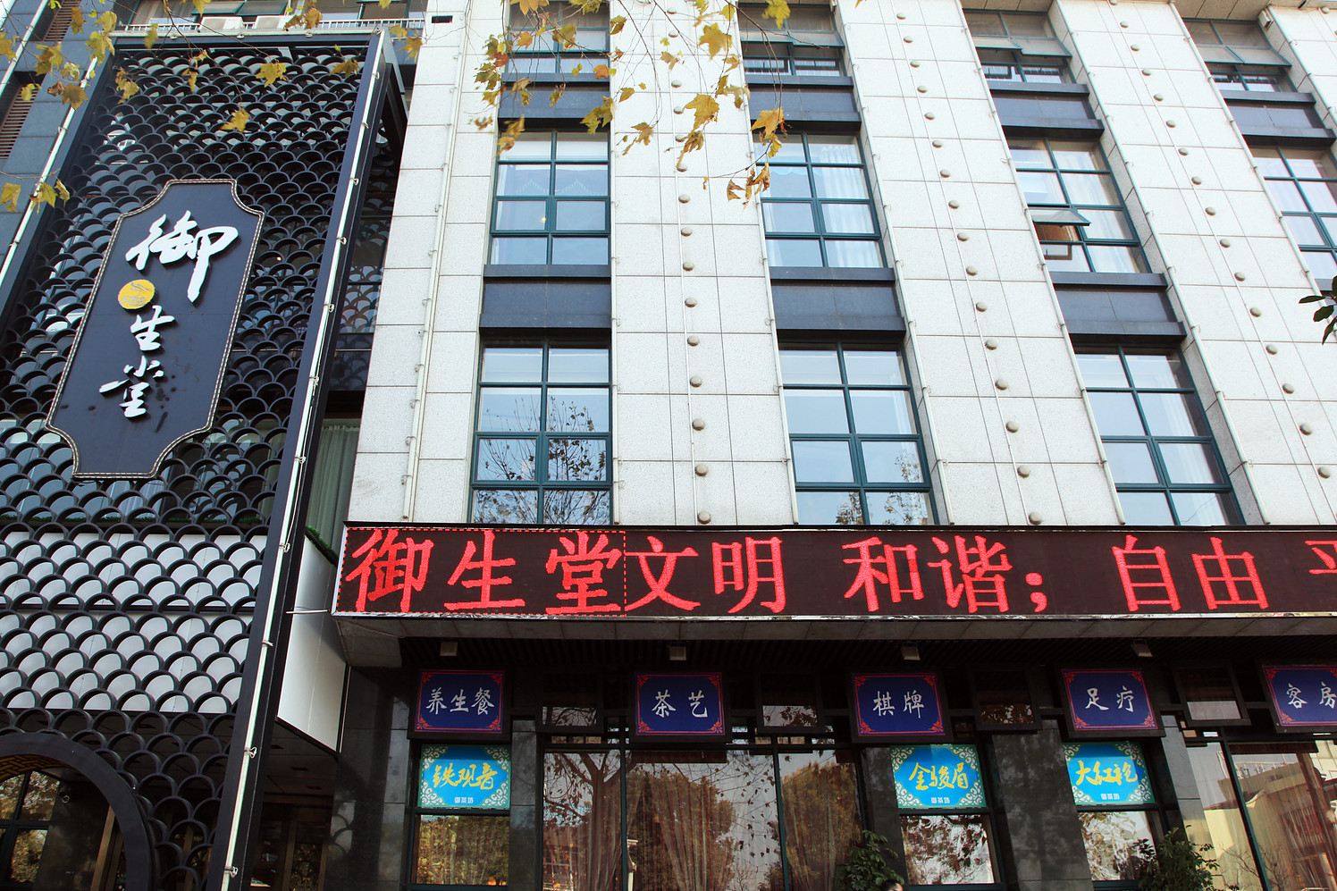 外观