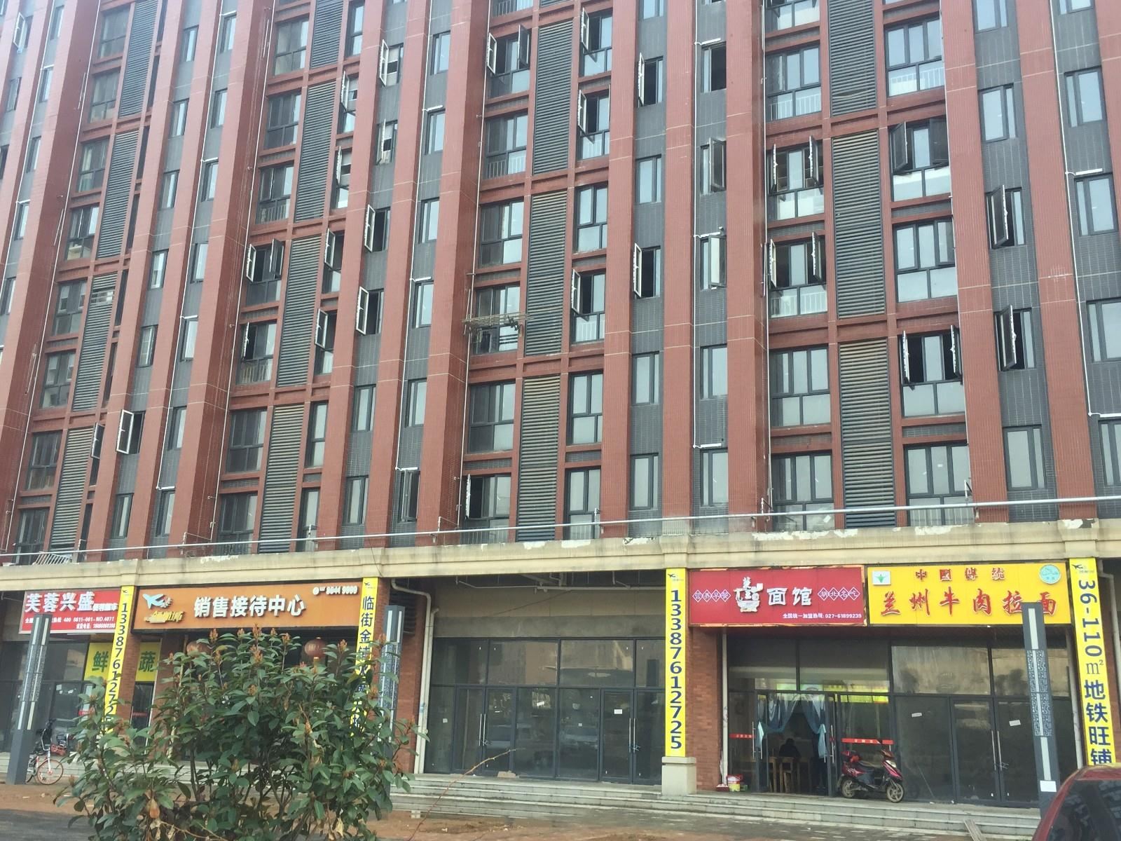 武汉隆虹时尚公寓