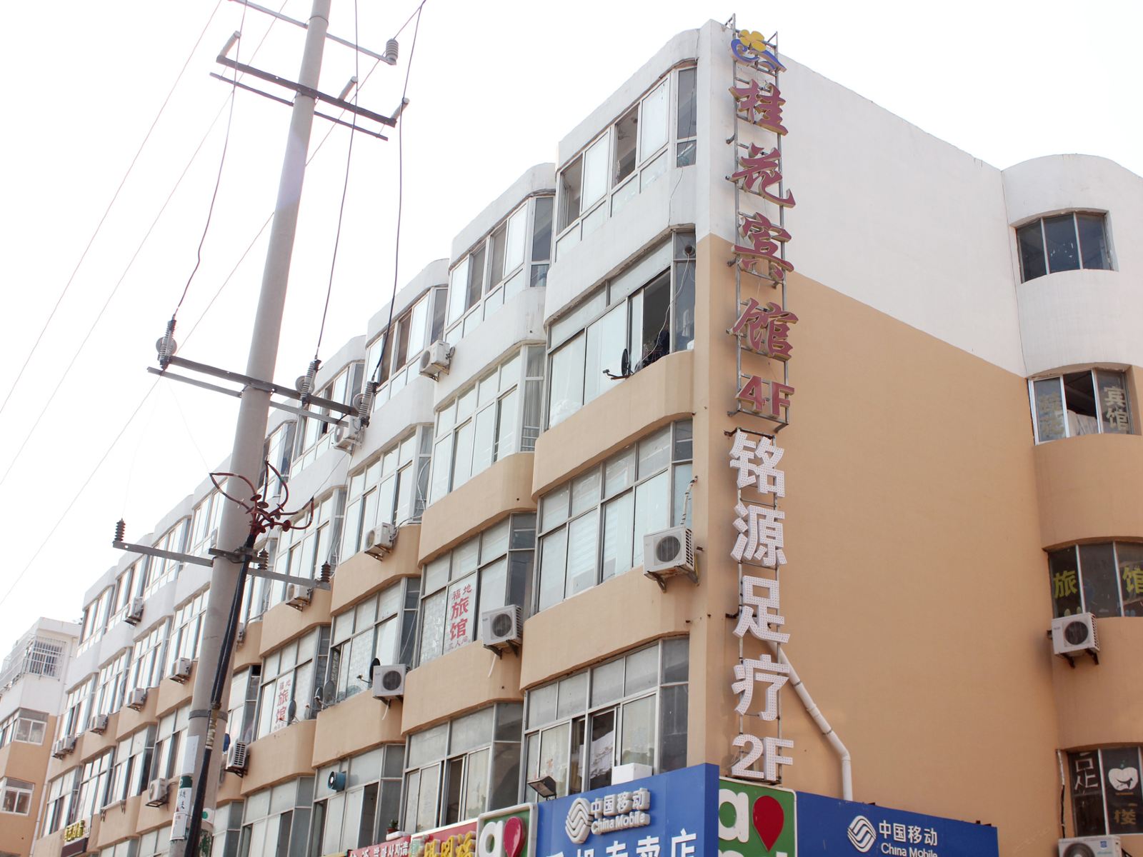 外观
