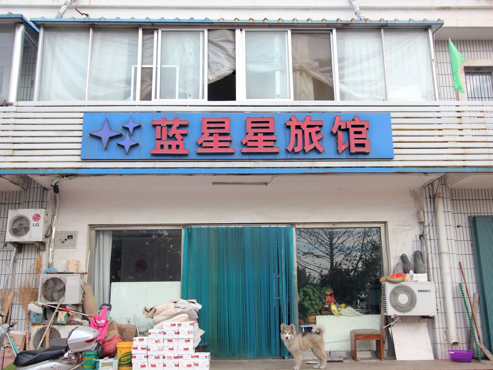 外观