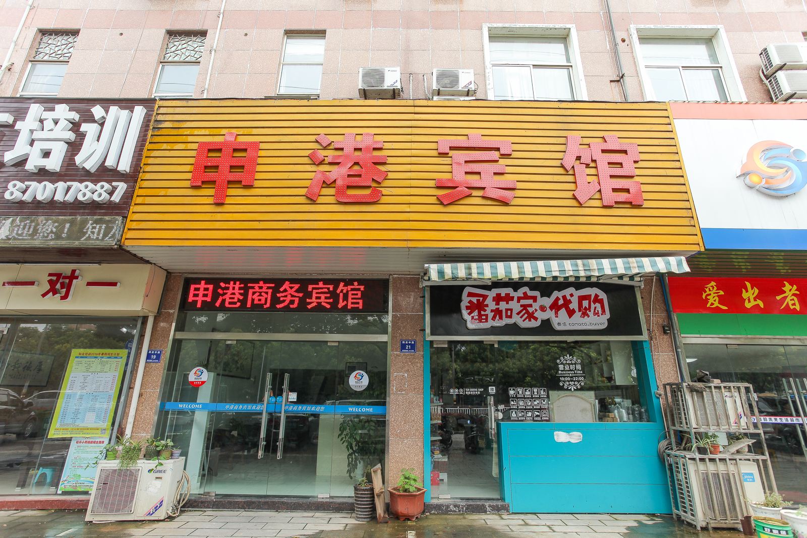 外观