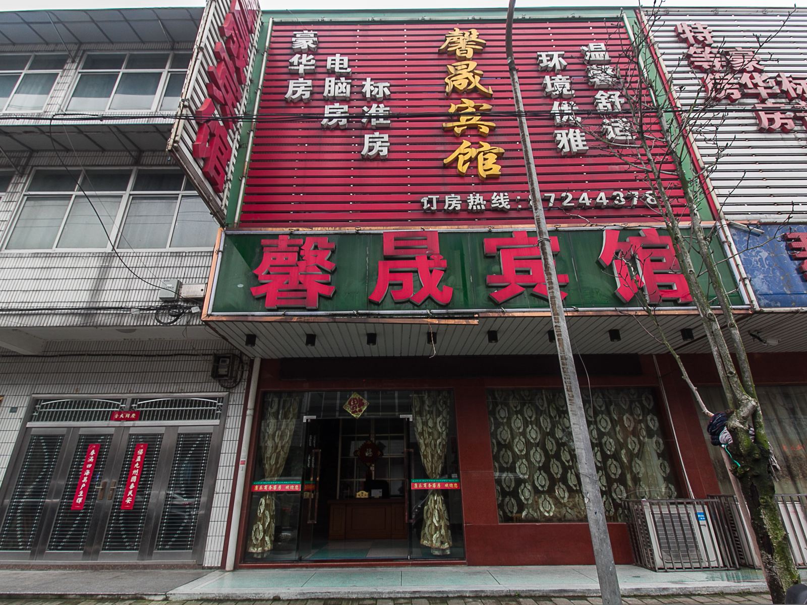 外观