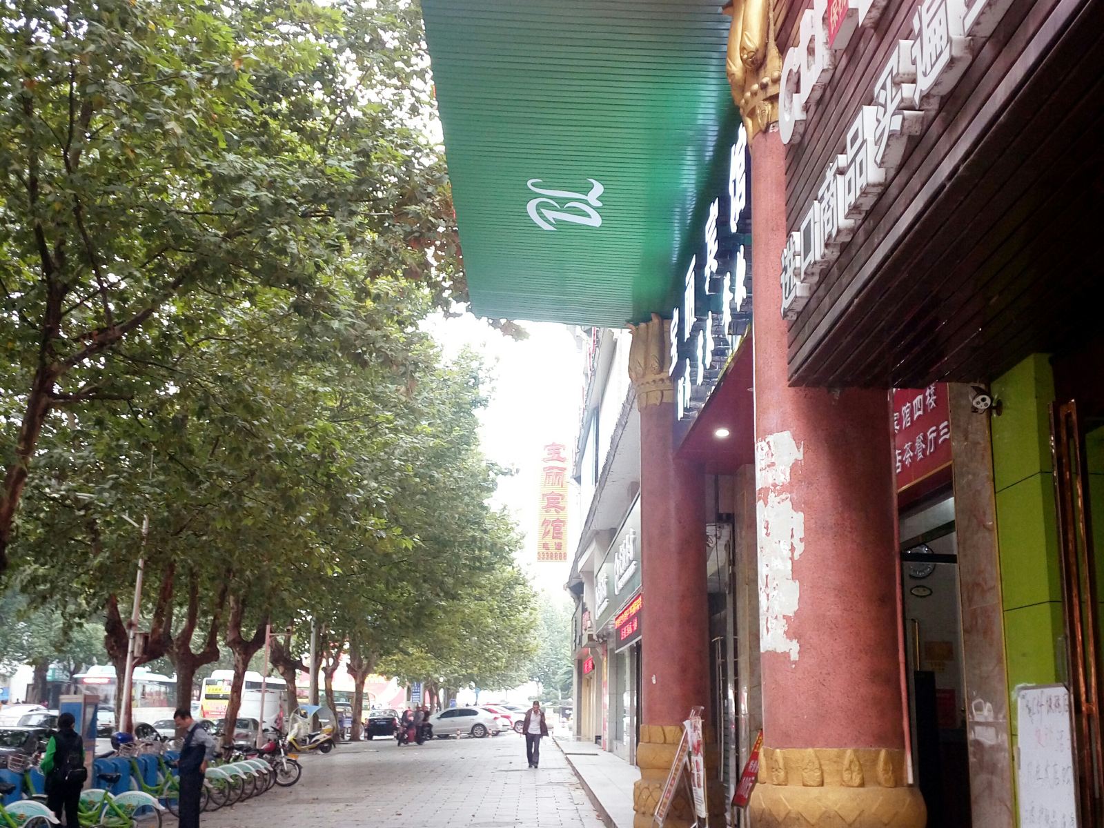 外观