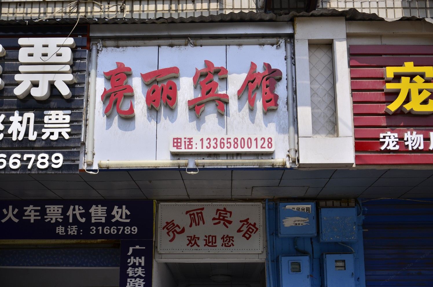 外观