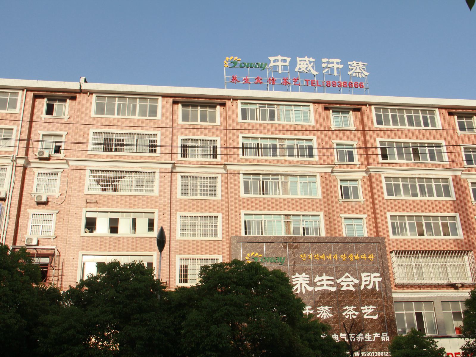 外观