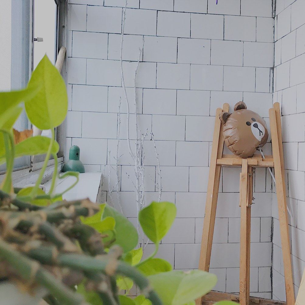 淄博六楼美术教室—花花公寓