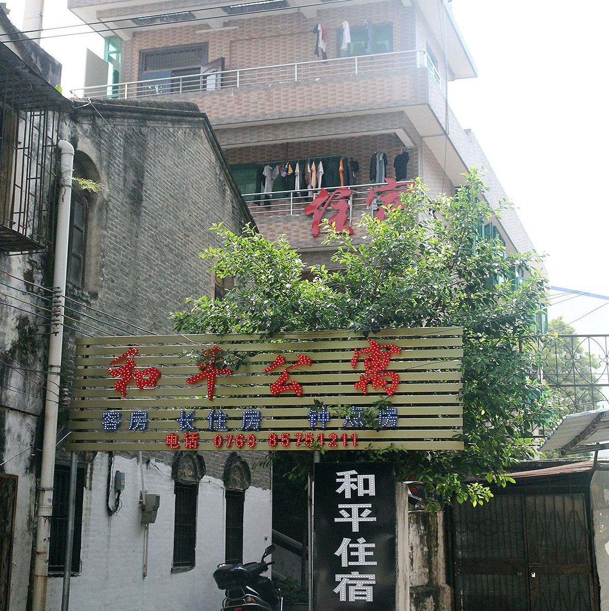 外观