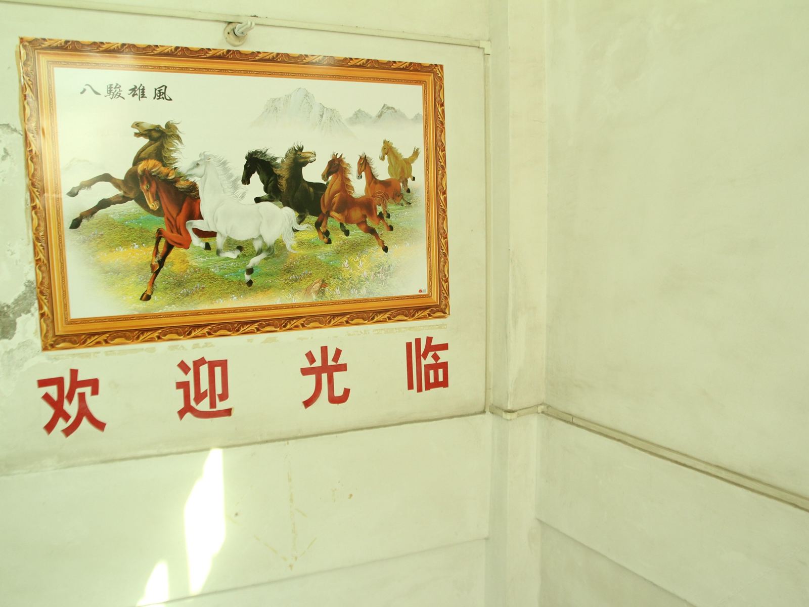 公共区域