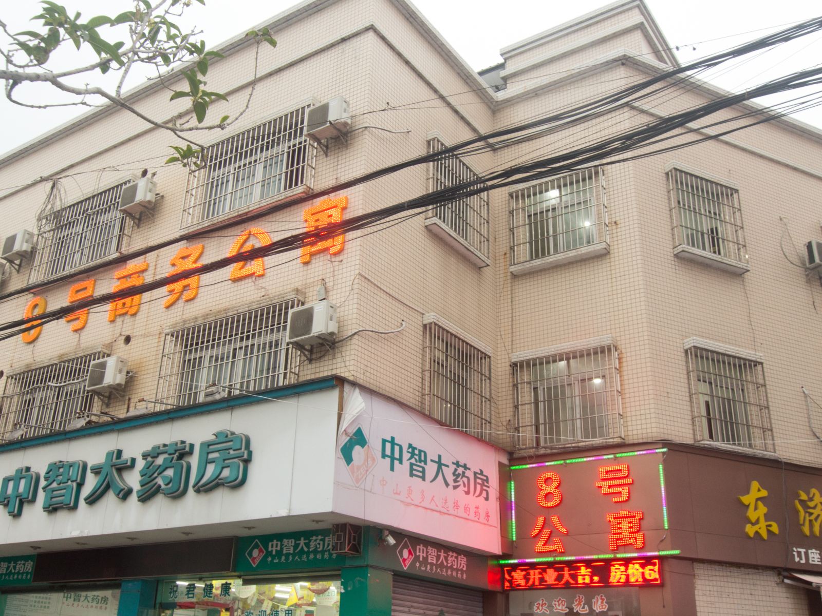 外观