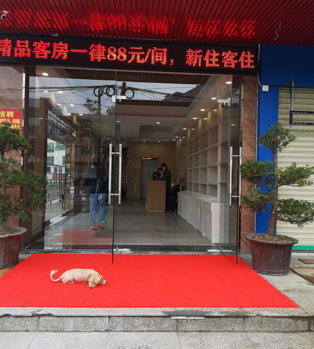 公共区域