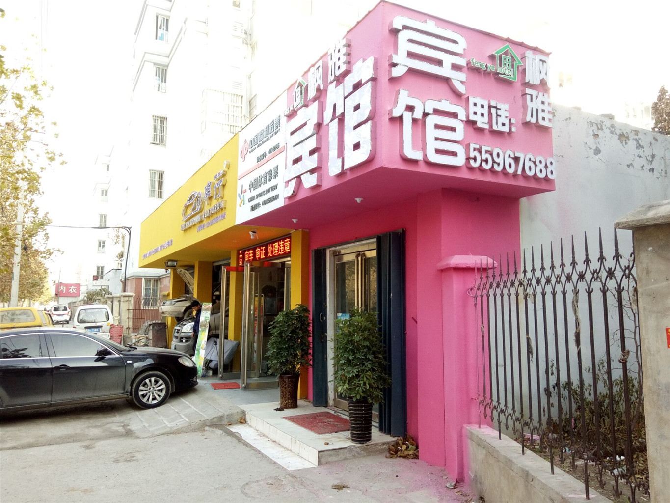 外观