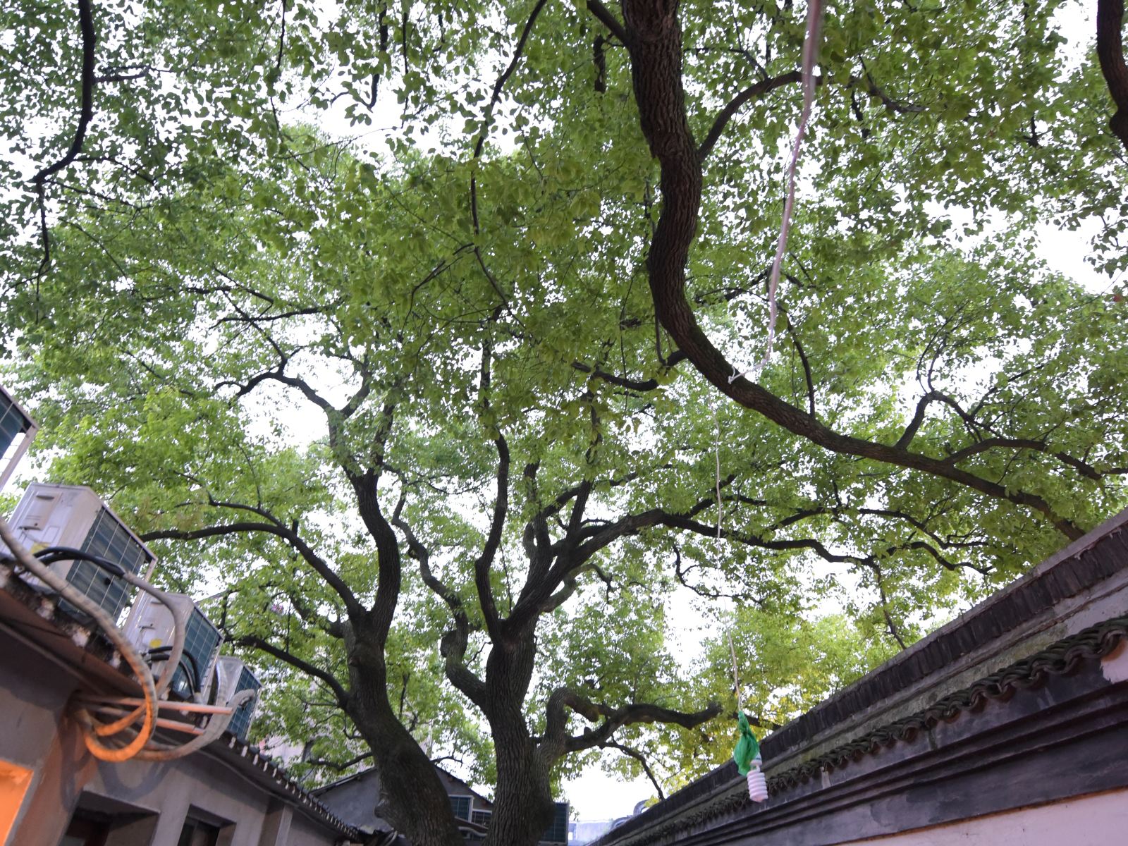 乌镇漏之屋旅舍