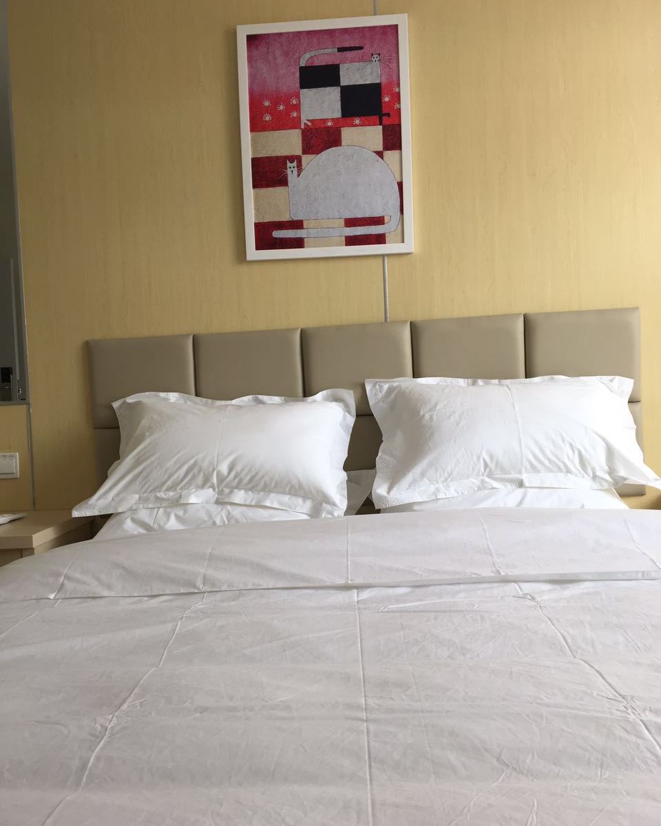 大床房c