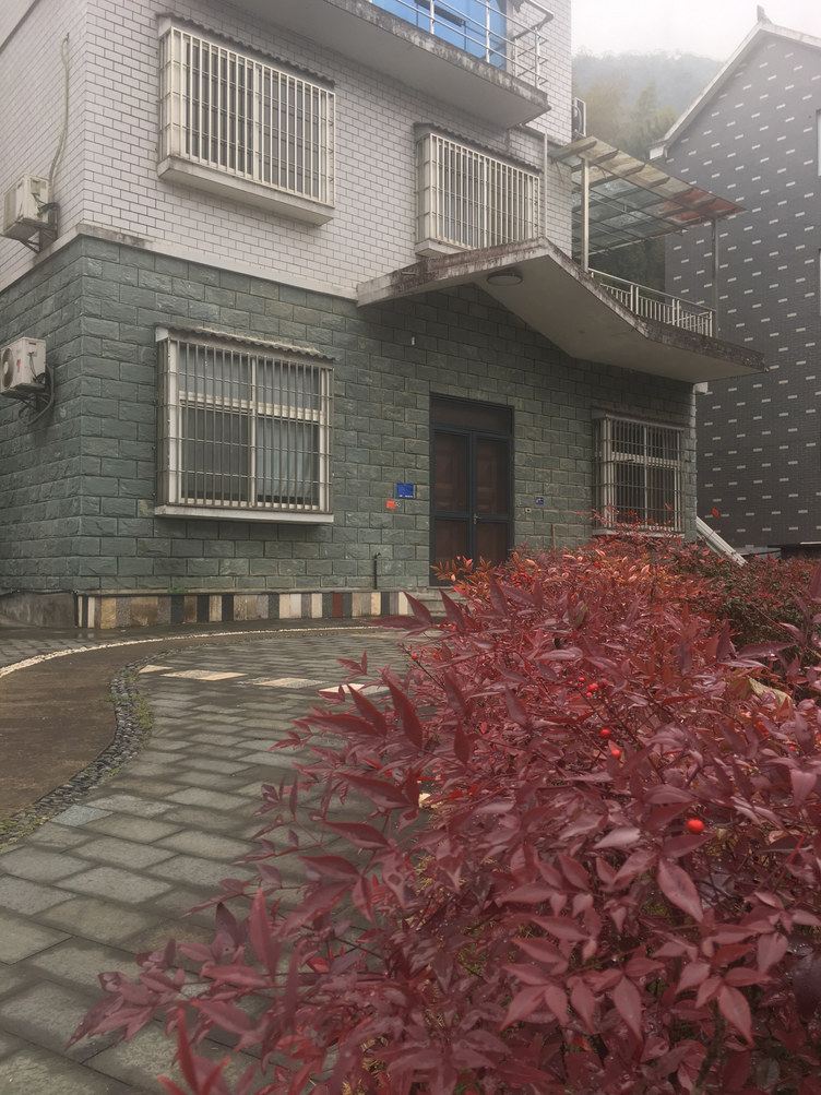 建德苜苜别墅